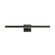 Pasha LED Picture Light in Black (86|E21433BK)