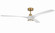 Phoebe 60'' Indoor Ceiling Fan without Wifi 60'' Ceiling Fan in Satin Brass (46|PHB60SB3NWF)