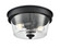 Strayhan Two Light Flush Mount in Matte Black (59|64102MB)