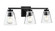 Strayhan Three Light Vanity in Matte Black (59|64003MB)