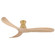 Swell Flush 60''Ceiling Fan in Heritage Brass (13|903460FHBNDD)