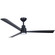 Simple 52''Ceiling Fan in Coal Black (15|F787LCL)