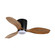 Ventiara 36''Ceiling Fan in Coal Black (15|F693LCLDK)