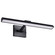 Hazel LED Picture Light in Black (72|622325)