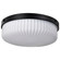 Solara Three Light Flush Mount in Matte Black (72|608648)
