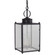 Marlene Three Light Hanging Lantern in Dark Brass (196|NL8052DBLT3FST)