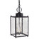 Marlene Three Light Hanging Lantern in Dark Brass (196|NL8052DBLT3CSG)