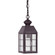 Woodcliffe Family One Light Hanging Lantern in Dark Brass (196|8312DBMEDFST)