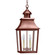 Sharon Family Two Light Hanging Lantern in Antique Copper (196|5542ACLT2FST)