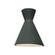 Ambiance Collection LED Wall Sconce (102|CER3100WPWGN)