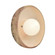 Ambiance Collection LED Wall Sconce (102|CER3050SLHY)