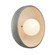 Ambiance Collection LED Wall Sconce (102|CER3050ANTS)