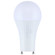 Light Bulb in Frost (230|S12148)