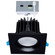 LED Remote Driver Downlight in Black (230|S11674)