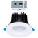 LED Remote Driver Downlight in White (230|S11670)