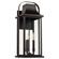 Downey Three Light Lantern in Bronze (19|7412336)