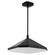 Tempe LED Pendant in Black (19|364315)