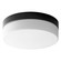 Zuri LED Ceiling Mount in Black (19|3263115)