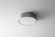 Peepers LED Ceiling Mount in Satin Nickel (19|3260124)