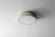 Peepers LED Ceiling Mount in Polished Nickel (19|3260120)