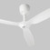 Alpha 60''Ceiling Fan in White (19|310506)