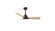 Alessandra - LK 42'' Ceiling Fan in Textured Bronze (101|AKLKTBLM42)
