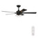 Charney 52'' Ceiling Fan in Matte Black (43|FRCHR52F30MB)