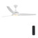 Arcas 60'' Ceiling Fan in Matte White (43|FRARC60RGBMW)