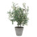 Marisol Planter in Natural-looking Olives (52|60268)