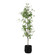 Boreal Tree in Aged Gray (52|60263)