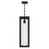 Calen One Light Outdoor Pendant in Textured Black (12|59212BKT)