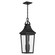 Cleary Two Light Outdoor Pendant (12|59198BKT)