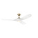 Mylo 60'' Ceiling Fan in Champagne Bronze (12|310560CPZMWH)