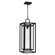 Jayce One Light Outdoor Hanging Lantern in Matte Black (10|JAY1909MBK)