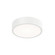 Rizo LED Fan Light Kit in Matte White (54|P26001228M30)