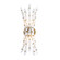 Sorra Two Light Wall Sconce in Painted Legacy Brass (29|N3402870)