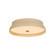 Shore LED Flush Mount in Patina Brass (67|C7216PBRGCR)