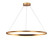 Circa LED Pendant in Gold (192|HF5029GL)
