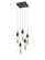 Aspen LED Pendant in Black (192|HF19005APBK)