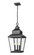 Raphael Three Light Outdoor Chain Mount Ceiling Fixture in Sand Black (224|5029CHBBK)