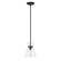 Amarella One Light Mini Pendant in Matte Black (59|69001MB)