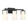 Froselle Three Light Vanity in Matte Black (59|65003MB)