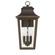 Spring Cove Three Light Outdoor Wall Mount in Matte Bronze (47|46083)