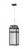 Ridgeway One Light Pendant in Matte Black (405|99531HBK20SCL)