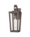 Madison One Light Wall Sconce in Bronze (405|99521WBZ17SDY)
