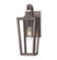 Madison One Light Wall Sconce in Bronze (405|99521WBZ14CL)