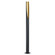 Prebone LED Floor Lamp in Black/Gold Leaf (217|39759A)
