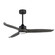 Woodwind 52'' Ceiling Fan in Black (16|88831WTBKGWD)