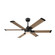 Soarin 56'' Ceiling Fan in Coal (15|F892LCLAO)
