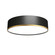 Cylindrical LED Ceiling Mount in Charcoal (486|5121LED44)